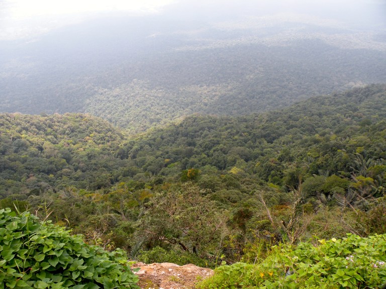 cambodian jungle view from bokor mountain