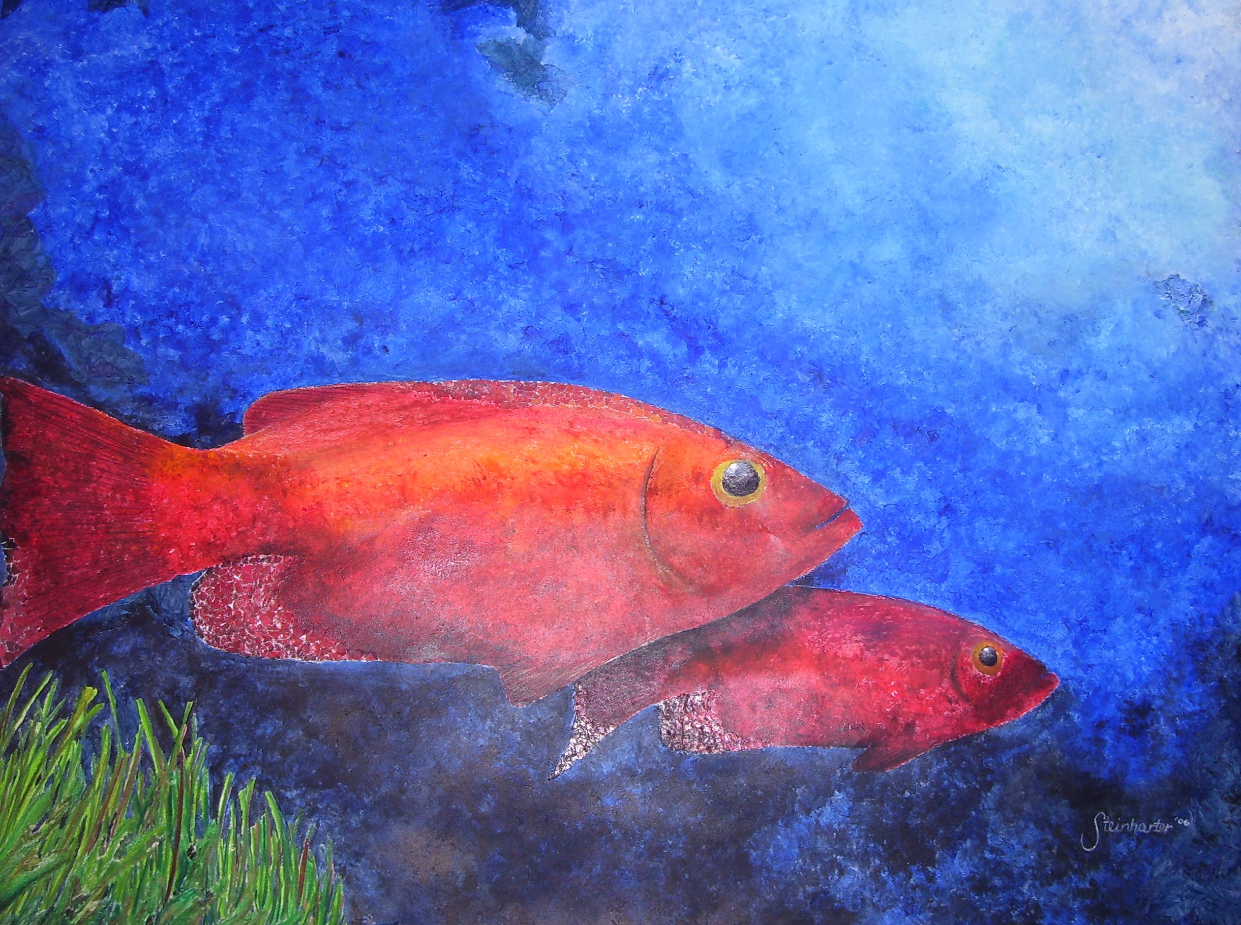 Multi-media undersea collage