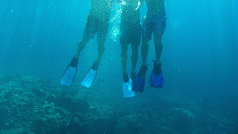 11102885_10203970656578808_8238110199937040517_o